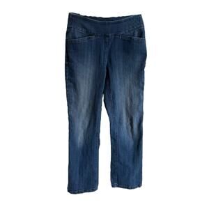 Westbound Blue Straight Leg Jeans Classic Style Size 2 Petite R Women's